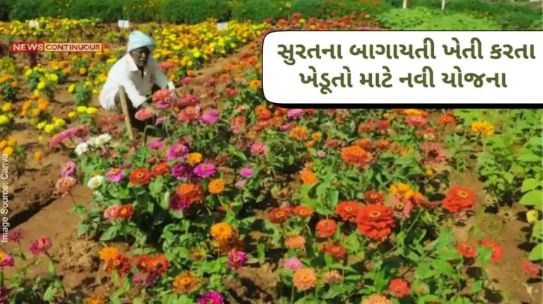 Three new schemes have been implemented this year for the horticultural farmers of Surat district