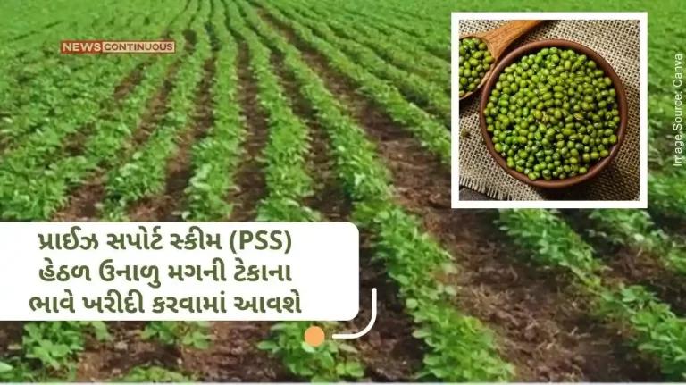 Under Price Support Scheme (PSS) Summer Moong will be purchased at support price