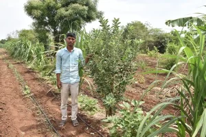 Uteva village of Mandvi taluka of Surat district Young I.T. engineer quits his job and started organic farming