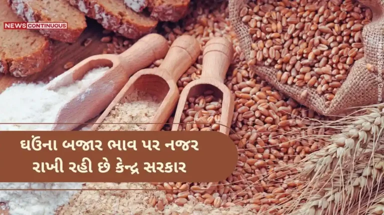 central government is monitoring the market price of wheat, RMS has projected 112 million metric tonnes of wheat production in 2024.