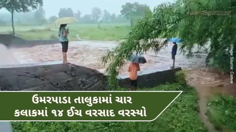 14 inches of rain fell in Umarpada taluk in four hours, 16 roads in the panchayat area were closed due to heavy rain.