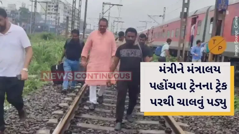 Stuck in Train, Maharashtra Minister Anil Patil, MLC Amol Mitkari Walk On Railway Tracks To Escape