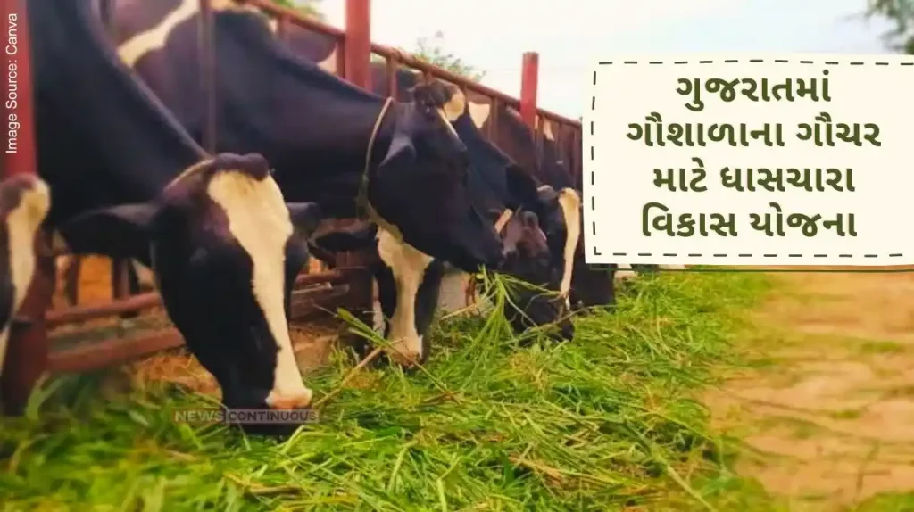 Applications to be made by 30th July under Ghas Chara Vikas Yojana for Gauchar of Gram Panchayat, gaushala and Panjrapole in Gujarat