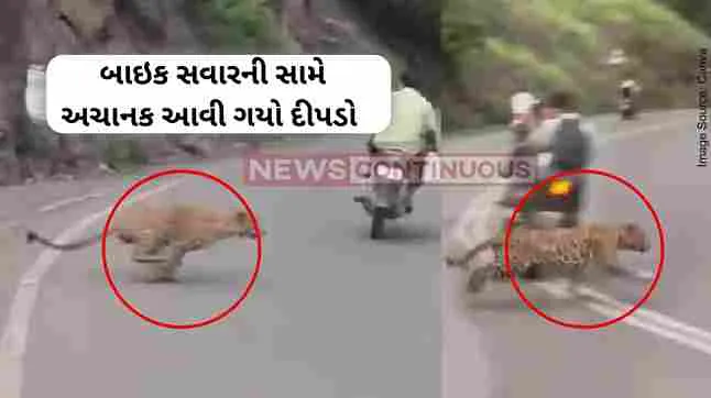 Dive Ghat Pune Leopard Sighted at Dive Ghat on Pune Saswad Road Dive Ghat Pune Leopard Sighted at Dive Ghat on Pune Saswad Road