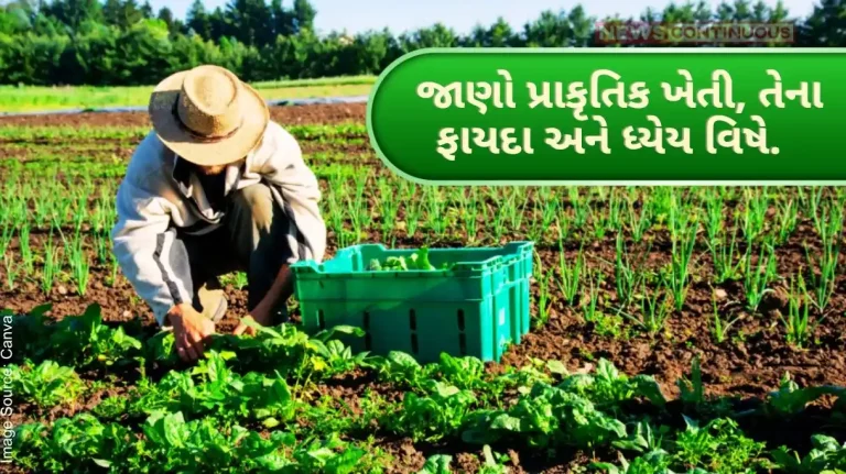 Farmers are getting encouragement for natural (cow-based) agriculture by Gujarat government, know about natural farming