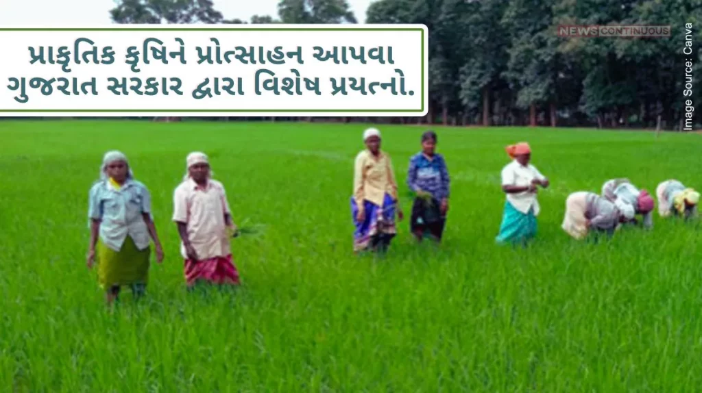 Farming Method One, Benefits Many, Special Efforts by Gujarat Government to Promote Organic Farming .