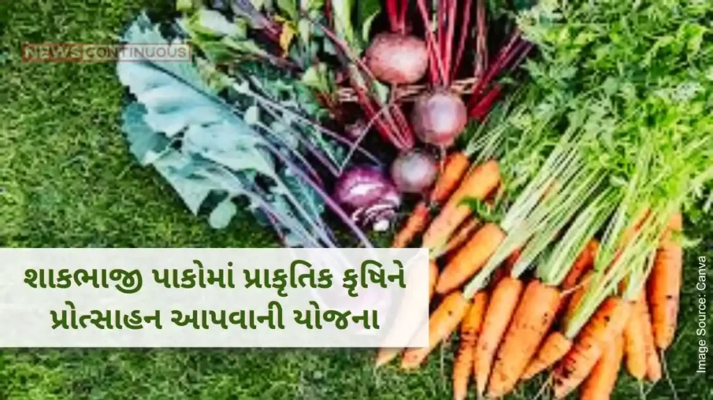 Gujarat government implemented Scheme to promote organic agriculture in vegetable crops to encourage natural agriculture