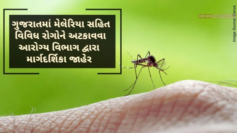 Health department announced guidelines to prevent various diseases including malaria in Gujarat