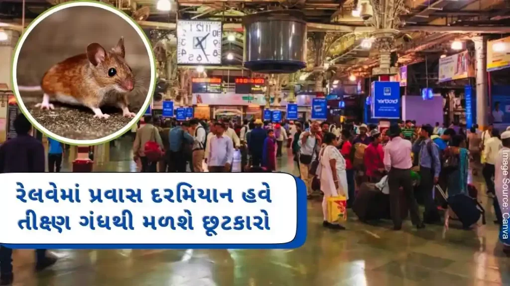 Indian Railway Now you will get rid of a pungent smell while traveling in railways, this state-of-the-art borescope camera of railways will detect dead rats