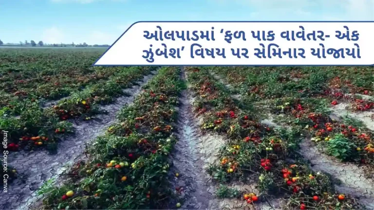 Karanj village of Olpad taluka organized a seminar on ‘Fruit Crop Planting – A Campaign’ under Grow More Fruit Crop. Karanj village of Olpad taluka organized a seminar on 'Fruit Crop Planting - A Campaign' under Grow More Fruit Crop.