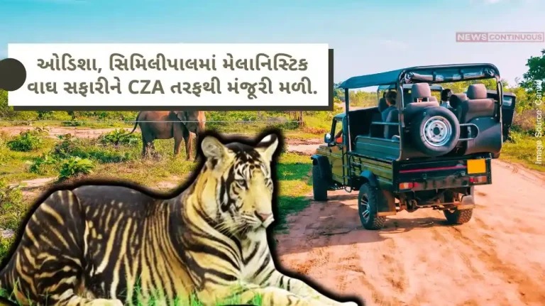 Melanistic Tiger Safari Odisha For the first time in Odisha, Melanistic Tiger Safari in Similipal gets approval from Central Zoo Authority.