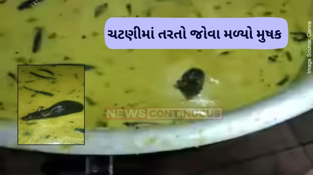 Mouse in chutney Viral video shows mouse swimming in chutney at ‘university mess in Hyderabad’. Watch