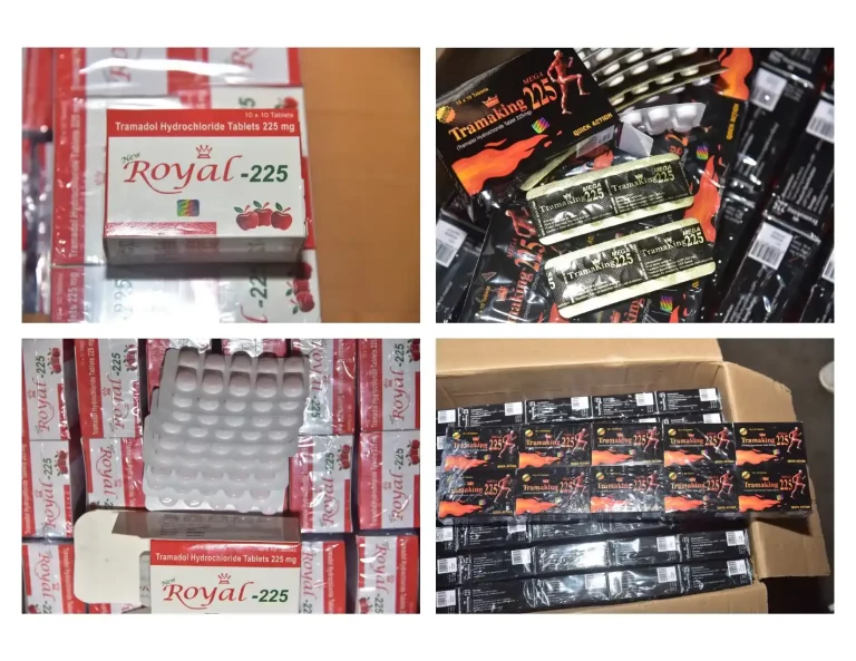 Mundra Customs Rs. 100 crore worth of illegal narcotics seized, which were being exported to Africa