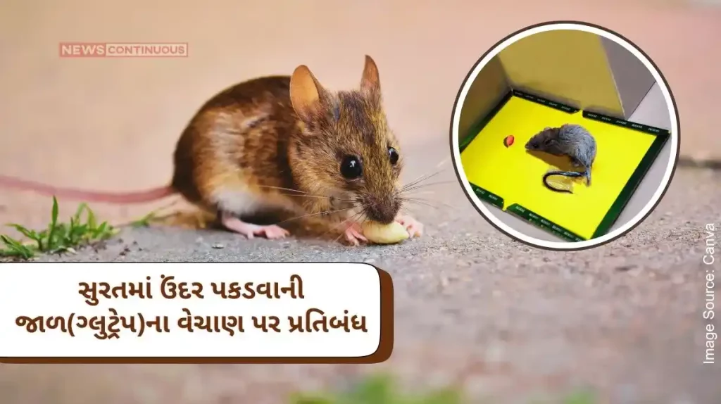 Prohibition on manufacture, sale and use of rat traps (glue trap) in Surat city-district