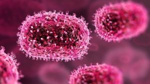 Protect children from viral encephalitis (chandipura) virus infection