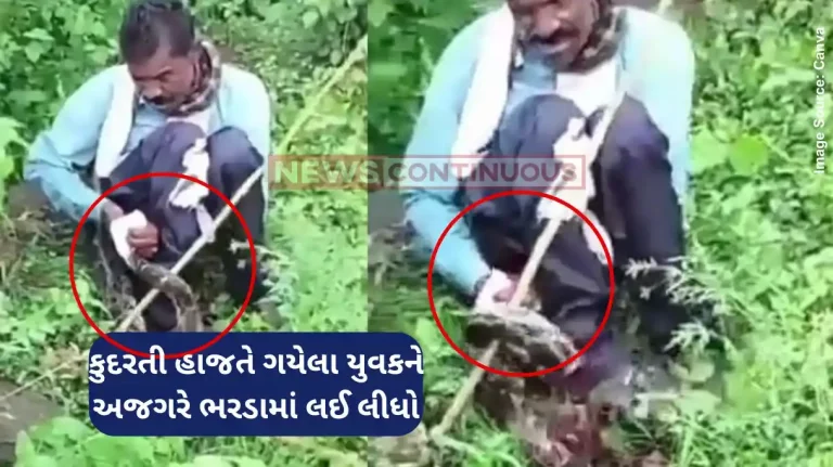 Python Attack Video 15-foot python tries to swallow Jabalpur man, locals save him. Spine-chilling video