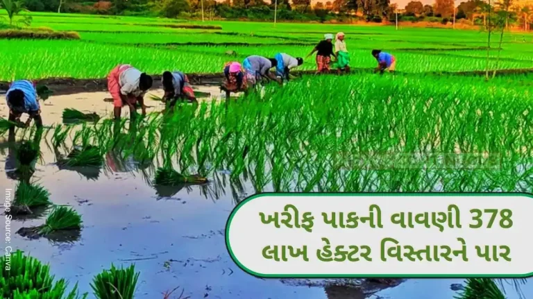 Sowing of kharif crops across 378 lakh hectares area
