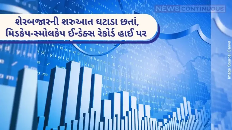 Stock Market Opening Midcap-smallcap indices at record highs despite early stock market decline..