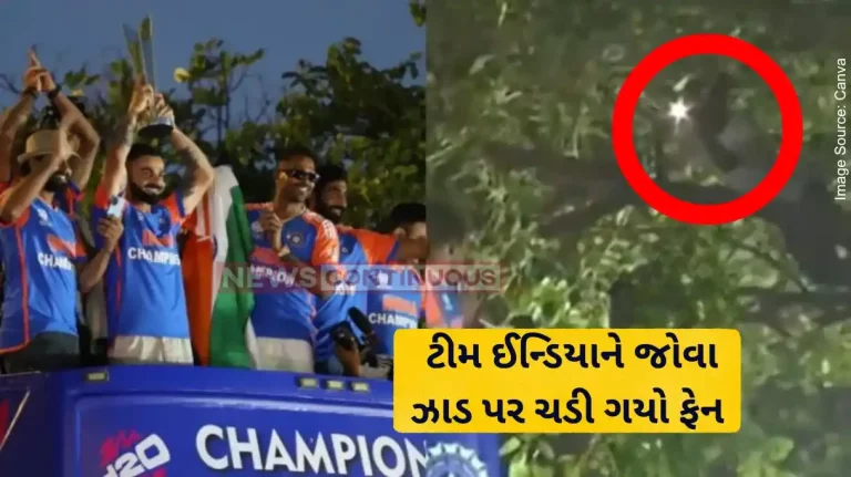 Team India Victory Parade Fan Climbs Tree To Watch Team India's Victory Parade. Don’t Miss Virat Kohli, Rohit Sharma's Reactions
