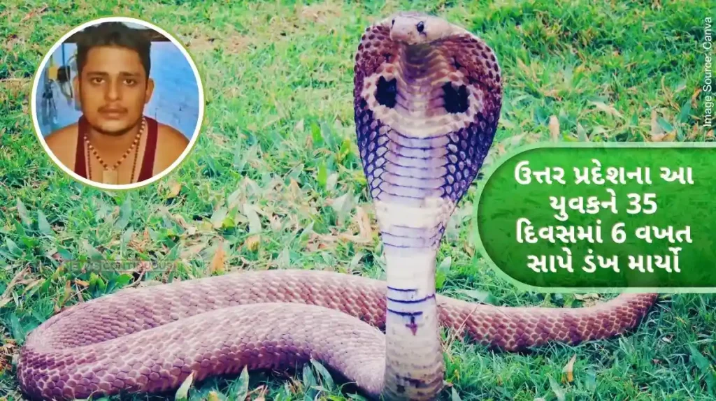 This youth from Uttar Pradesh was bitten by a snake 6 times in 35 days, 3 more snake bites predicted.. Know details..