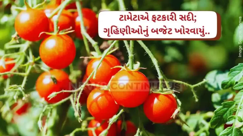 Tomato Price Hike Rain, excessive heat send veggie prices soaring, tomato trebles to up to Rs 100 per kg