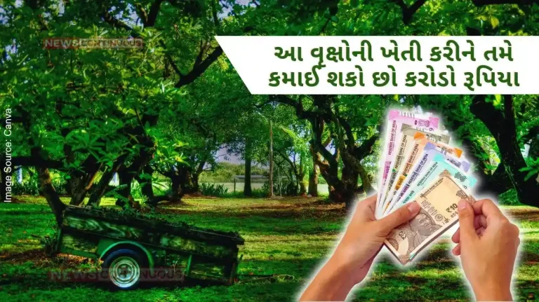 Tree Farming You can earn crores of rupees by cultivating these trees, do this work today on your vacant land.. know more.. Tree Farming You can earn crores of rupees by cultivating these trees, do this work today on your vacant land.. know more..