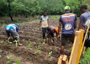 Tree plantation drive at Veer Narmad University