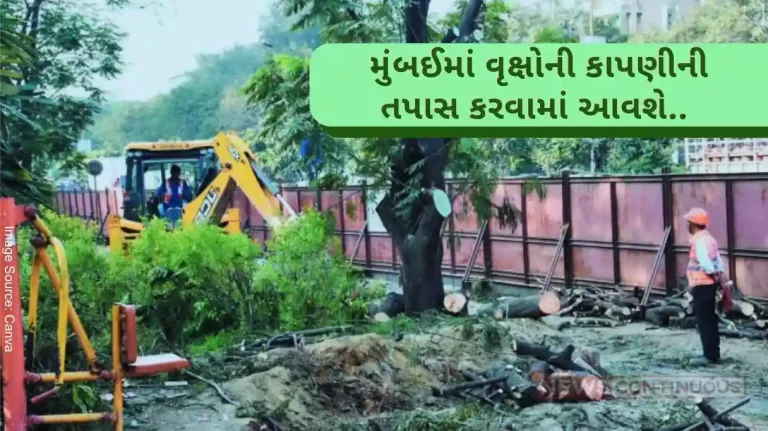 Trees Cutting After the onset of monsoon in Mumbai, tree felling will now be checked.. know details..