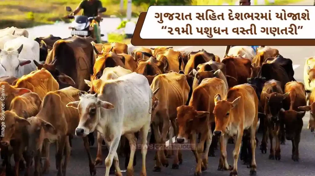 21st Livestock Census will be held across the country including Gujarat
