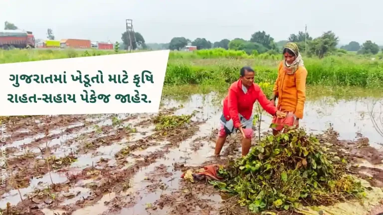 An agricultural relief-aid package crore has been announced for the farmers of the rain-affected areas in gujarat