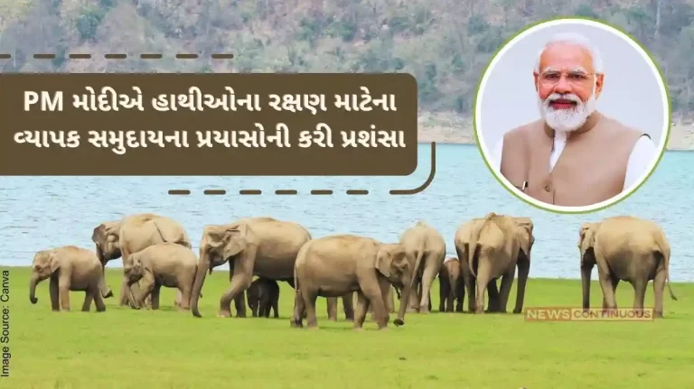 As the number of elephants increased in the country, PM Modi praised the efforts of the wider community to protect elephants