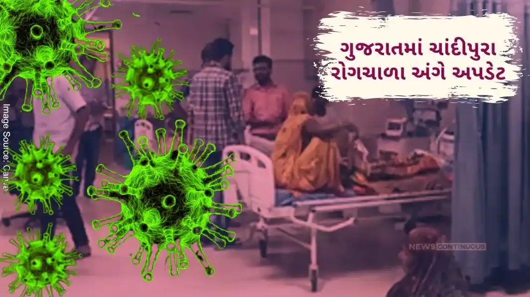 Chandipura Epidemic Turns Deadly, The Virus Has So Far Killed So Many Animals; Know the statistics.