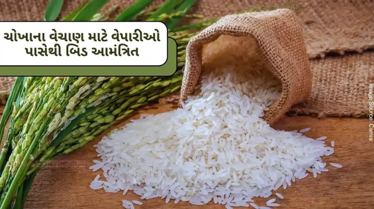 FCI Ahmedabad Bids invited from traderschain wholesalersmanufacturers of rice products for sale of rice