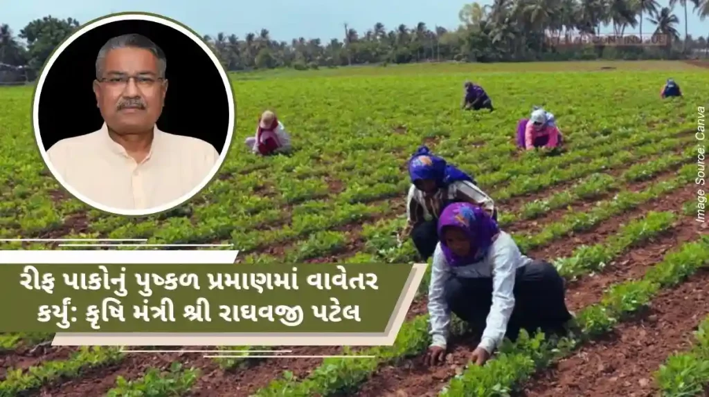 Gujarat Kharif Crops Farmers planted Kharif crops in abundance in Gujarat with universal rains Agriculture Minister Shri Raghavji Patel