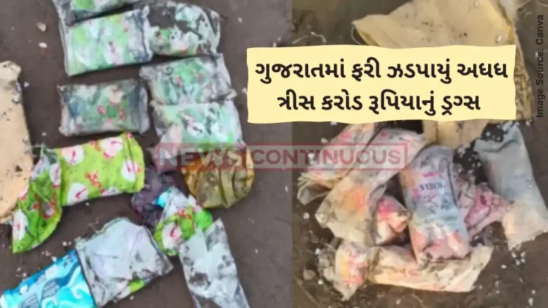 Gujarat Navsari Police seizes 50 packets of narcotic drugs from Aonjal village