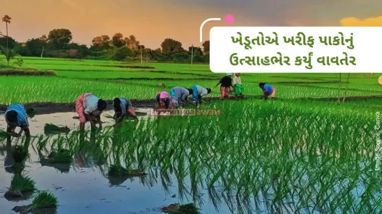 Increase in sowing of kharif crops, Ministry of Agriculture releases sowing figures..Know details