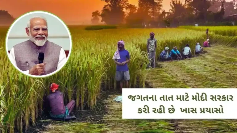 Indian Farmers The immortality of Indian agriculture The Modi government is making these special efforts for the sake of the world.