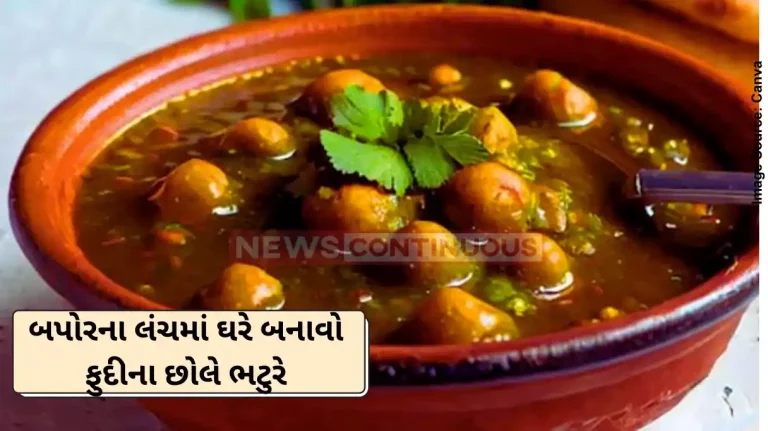 Lunch Recipe how to make pudina chole recipe Lunch Recipe how to make pudina chole recipe