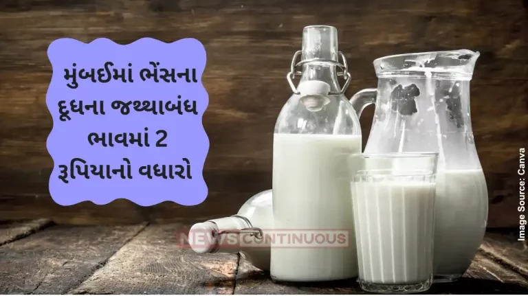 Milk Price Mumbai Milk Producers Association Announces ₹2 Per Litre Hike In Buffalo Milk Price