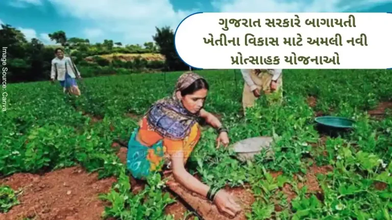 New incentive schemes implemented by the Gujarat government for the development of horticulture, farmers of Surat can apply till this date.