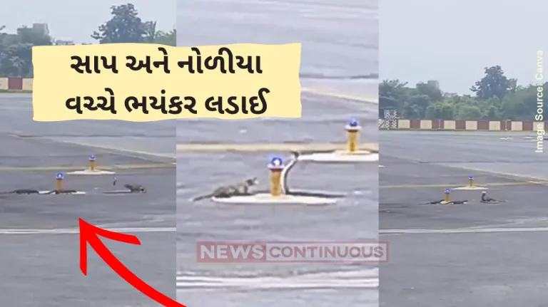 Patna Airport Video Fierce fight between cobra and mongoose on the runway of Patna's Jai Prakash Narayan International Airport