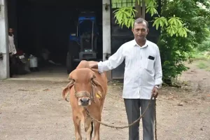 Rajendrabhai Prajapati, a farmer of Amandara village of Mangarol taluka, adopted natural farming and became prosperous.