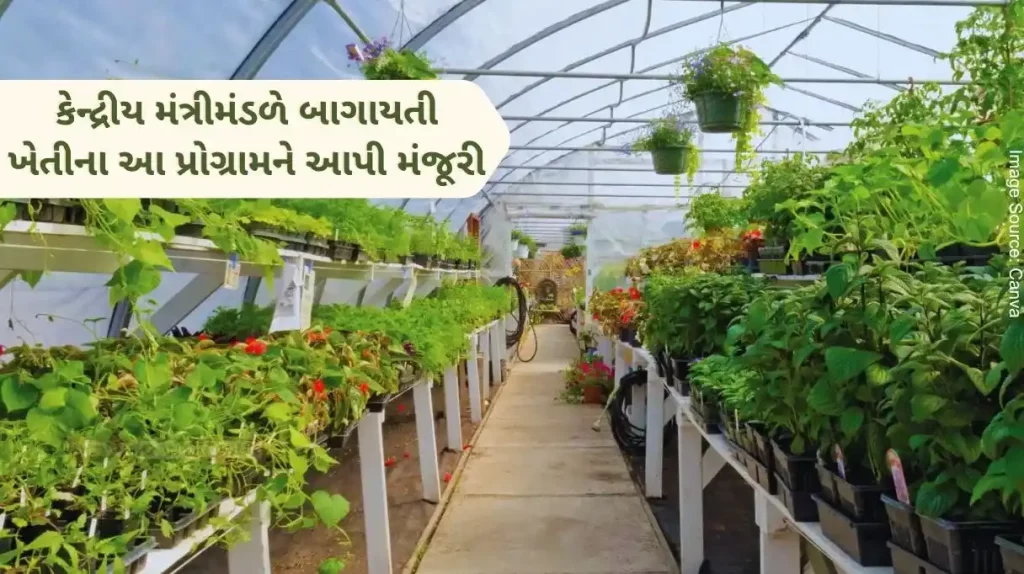 The Cabinet approved the Clean Plant Program under the Mission for Integrated Development of Horticulture