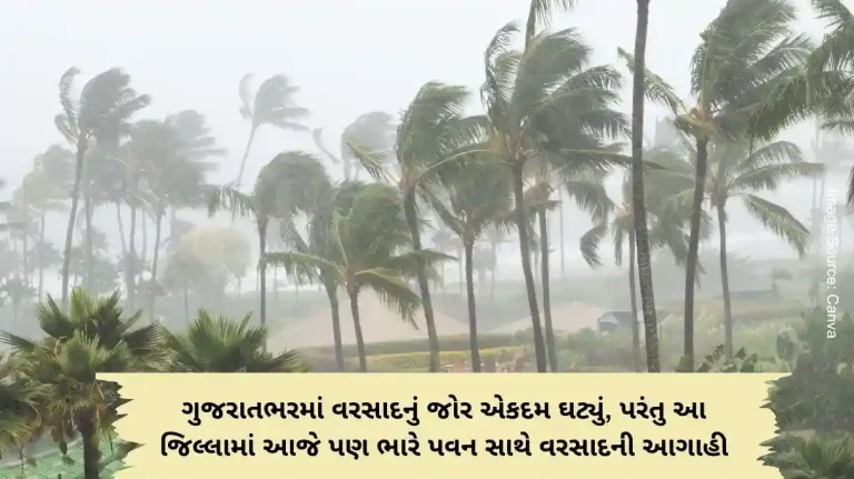 The intensity of rain has reduced considerably across the state, but Kutch-Saurashtra is still forecast to witness heavy winds today The intensity of rain has reduced considerably across the state, but Kutch-Saurashtra is still forecast to witness heavy winds today