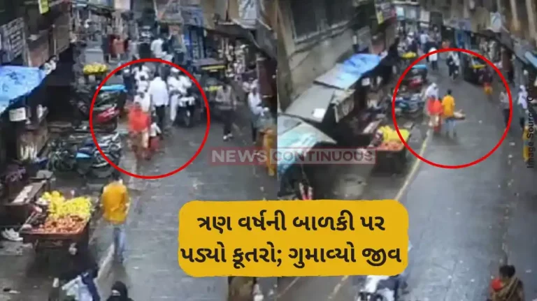 Three-year-old girl walking with her mother dies after dog falls on her in mumbra Three-year-old girl walking with her mother dies after dog falls on her in mumbra