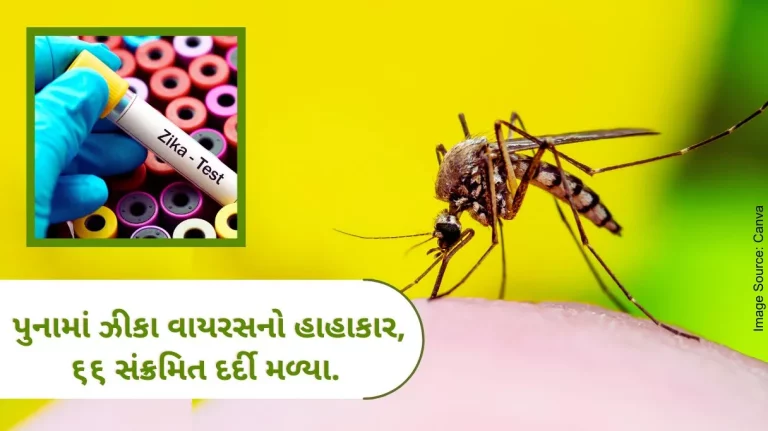 Zika virus outbreak in Pune, 66 infected patients found.