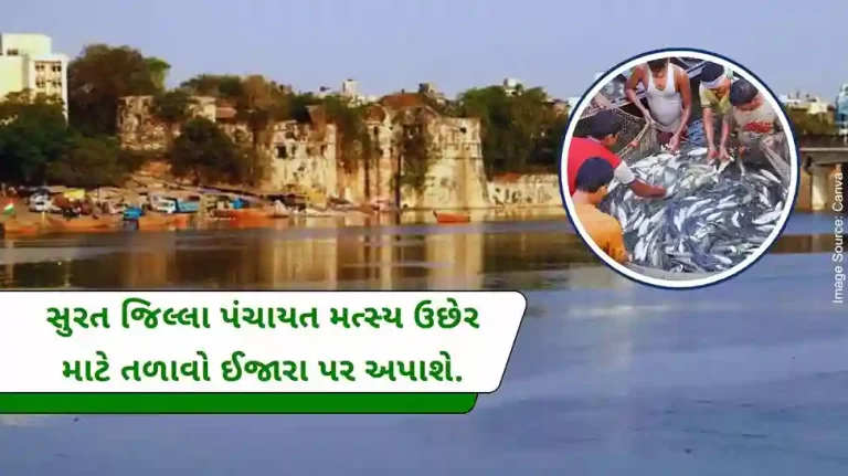 A unique initiative of Surat District Panchayat, more and more lakes in the district will be leased for fish farming.