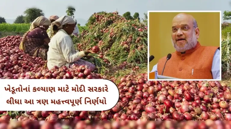 Amit Shah Modi Government has kept the interests of farmers at the forefront and is increasing exports so that farmers get fair prices.
