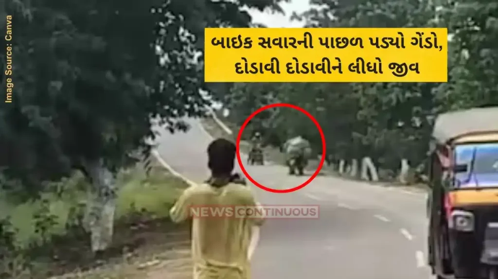 Assam Rhino Video Assam biker dies after allegedly being attacked by wild rhino
