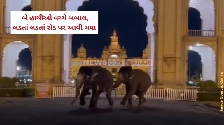 Elephant fight video Dussehra Elephants Frenzy At Mysore Palace Fighting Elephants Create Panic